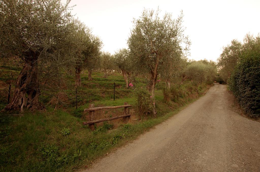 Fattoria Di Camporomano Massarosa Extérieur photo