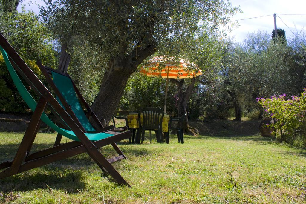 Fattoria Di Camporomano Massarosa Chambre photo